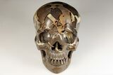 Polished Septarian Skull - Madagascar #199605-1